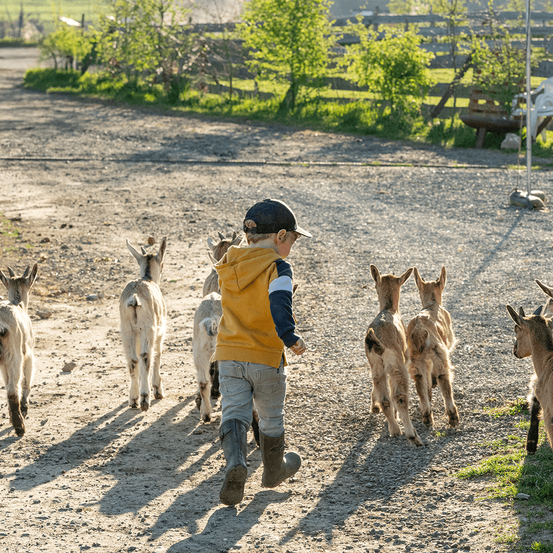 La ferme d’en face