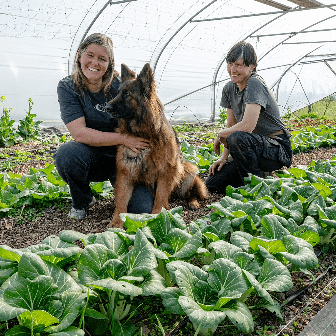 Le potager d’Isalie